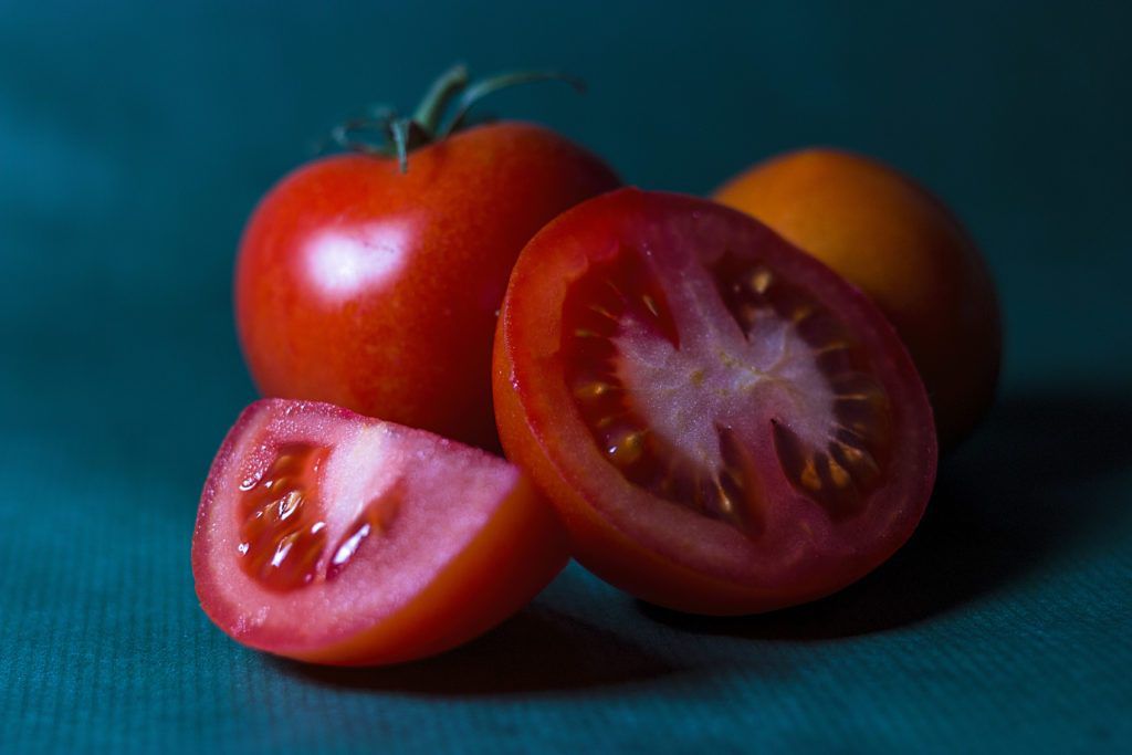 tomato lectins